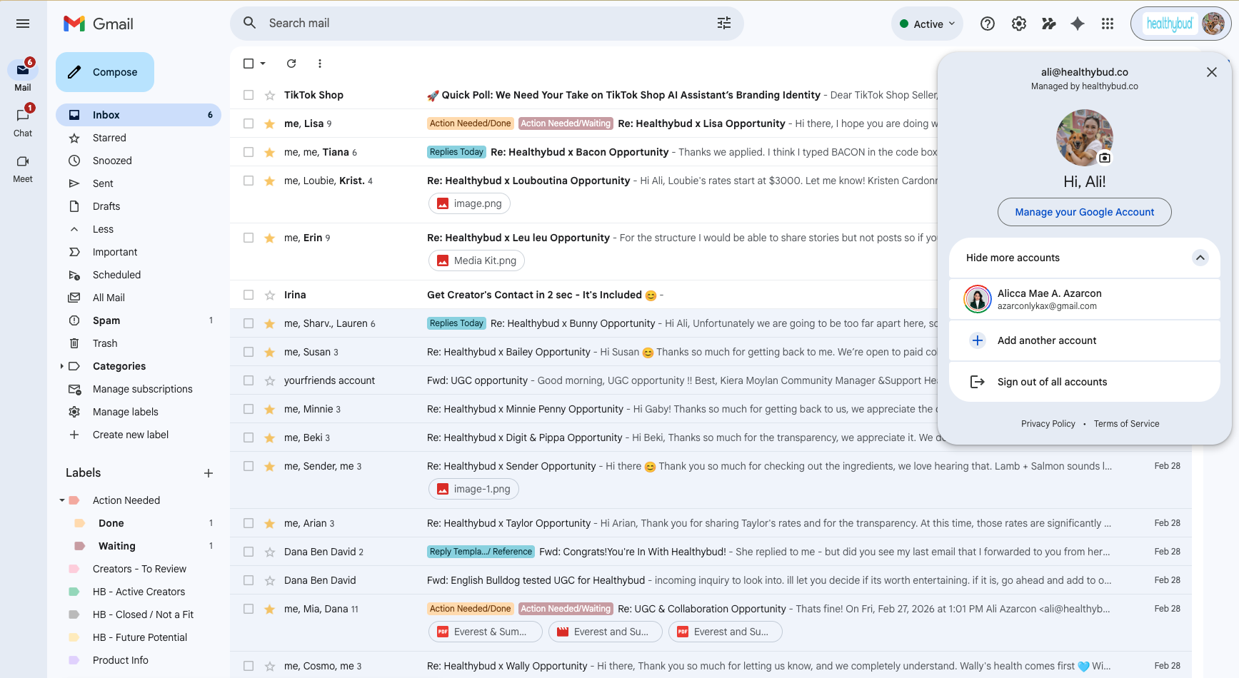 Healthybud creator partnership pipeline